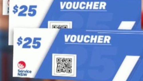Graphic showing NSW vouchers
