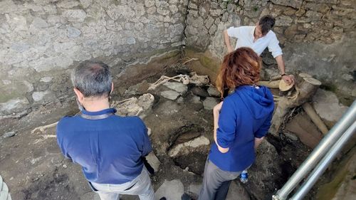 The remains were unearthed in an area known as Regio IX, which was a commercial part of Pompeii. 