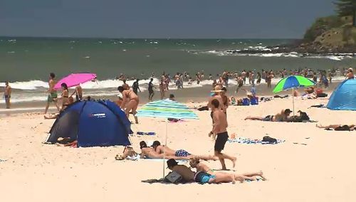 Sydney could be set to experiences its warmest January on record. (9NEWS)