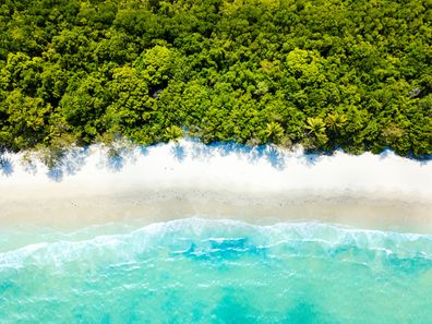 An aerial view of Cape Tribulation