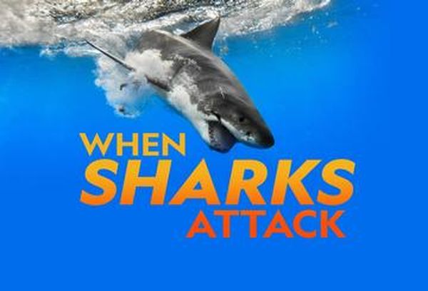 When Sharks Attack
