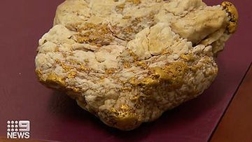 Lucky Strike Gold 4.6kg gold ore rock (Nine)