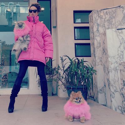 Celebrities and their pets: PHOTOS