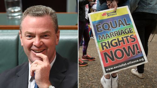 Liberals splinter over gay marriage vote