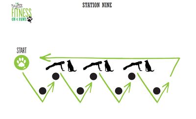 <strong>Station Nine: Pushup/Zig Zag combo</strong>