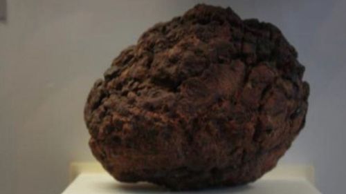 Stolen meteorite worth $16k may end on black market