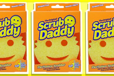 9PR: Scrub Daddy Original Sponge