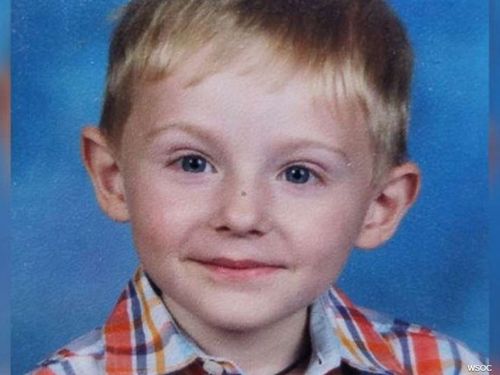 Maddox Ritch could be sleeping rough in the woods after vanishing out of the sight of his father in Rankin Lake Park, Gastonia.