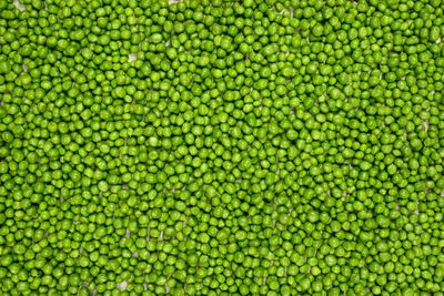 Half a cup of cooked green
peas (80g): 4.4g fibre