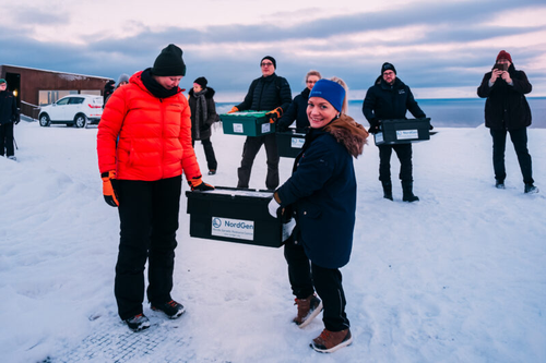 Thirty eight boxes filled with 20,274 bags of seeds have been deposited by nine genebanks under the first opening of the Seed Vault in 2022. 