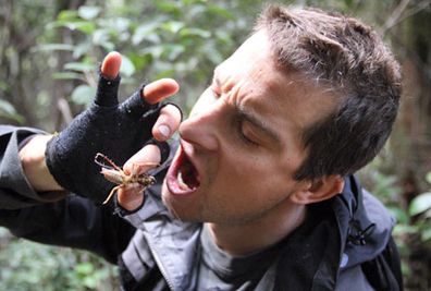 Bear Grylls eating an insect. (AAP)