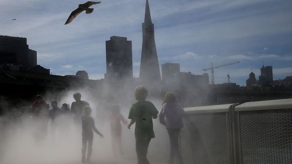 The Fog Bridge at San Francisco's Exploratorium