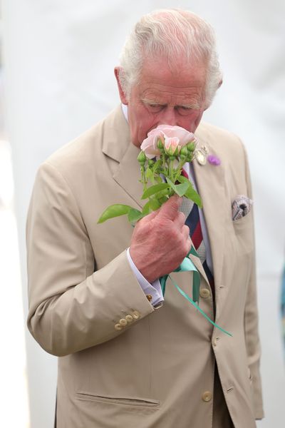 Charles and Camilla visit flower show