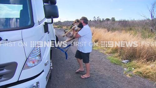 The motorist manged to pull his dog from the back seat moments before it burst into flames. (9NEWS)