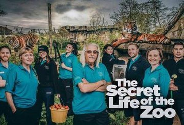 The Secret Life Of The Zoo