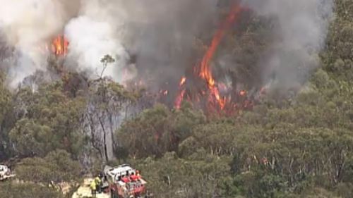 Fire crews conducted controlled hazard reduction burns over the weekend. (9NEWS)