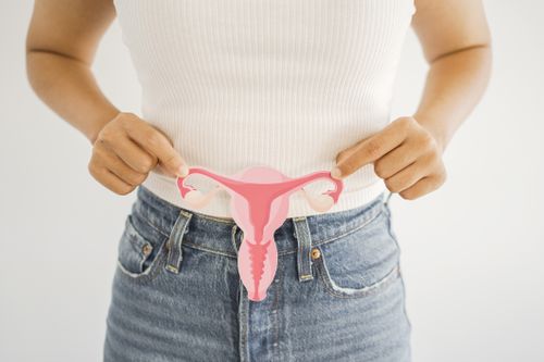 Mani della donna che tengono l'utero, il sistema riproduttivo femminile, la salute della donna, la PCOS, il concetto di cancro ginecologico e della cervice