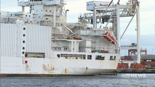 About 2400 sheep died on the August voyage from Fremantle. (9NEWS)