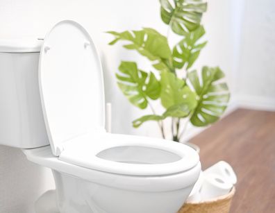 Toilet with seat down