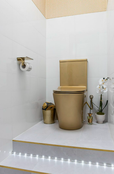 Property for sale in Portarlington, Victoria comes with a 'magical golden toilet'. 