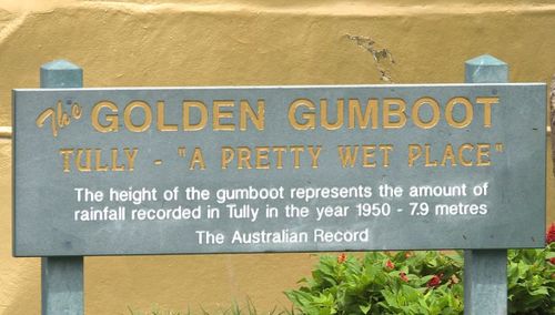The Golden Gumboot was installed in Tully in 2003. (9NEWS)