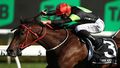 Think About It wins The Everest, the richest race on turf