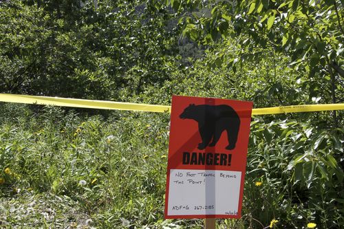 Police: Bear that mauled searcher likely killed Alaska hiker