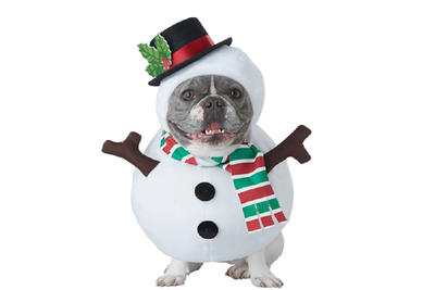 Puppy snowman outfit for Christmas