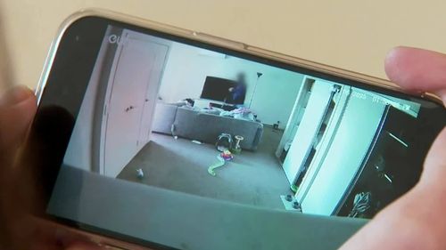 A couple's cat camera has captured two thieves ransacking their home in Queensland.