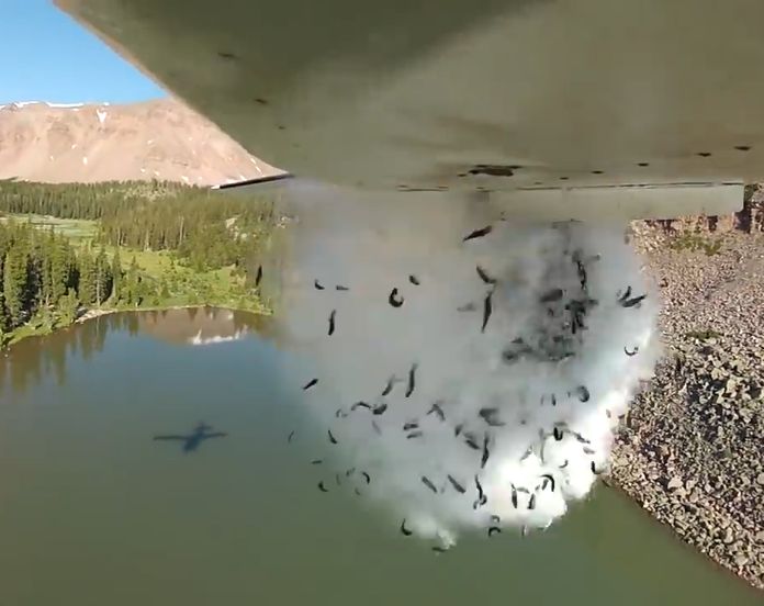 Utah drops thousands of fish from airplane into lakes