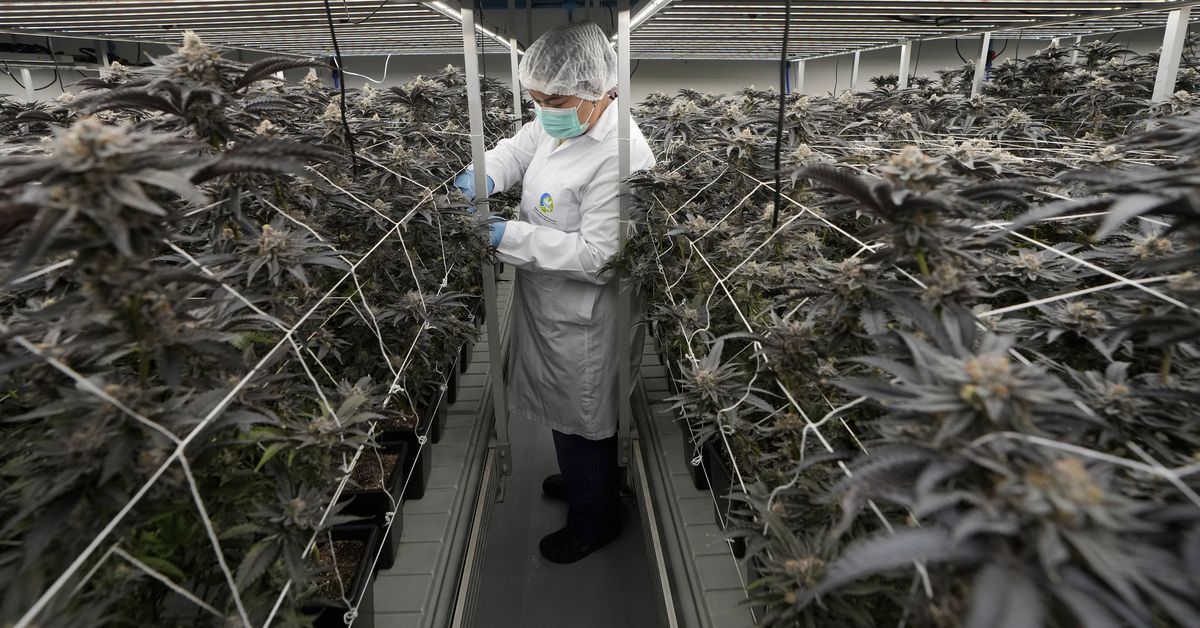 Aussies warned over holiday hotspot's tough new drug laws