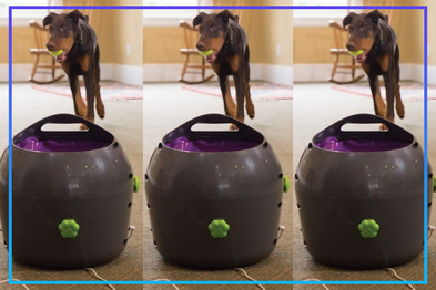 9PR: PetSafe Automatic Ball Launcher Dog Toy