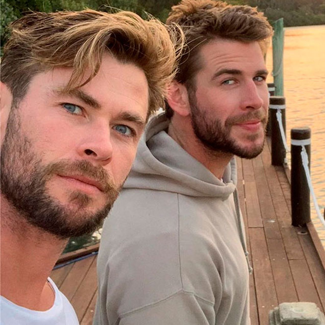 Are Chris And Liam Hemsworth Brothers