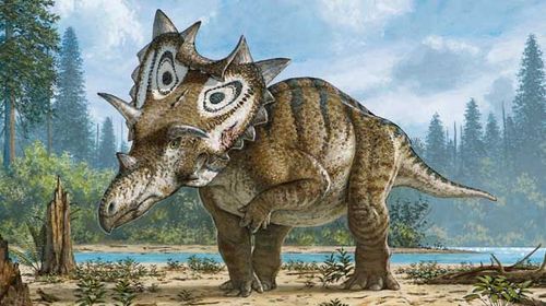 Judith: The new dinosaur species discovered by accident