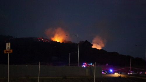 The five fires in various suburbs in Sydney's south-west were found to be intentionally lit. (9NEWS)