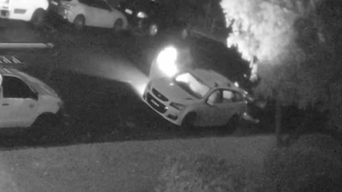 Dramatic CCTV released after car fire and public place shooting linked in Greenacre.