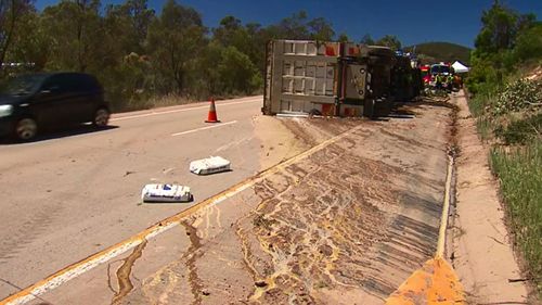 The truck was carrying 3000 eggs. (9NEWS)