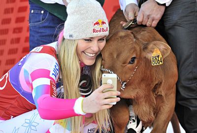 It's reported that Vonn is the owner of a six-cow herd in Austria. (Getty)