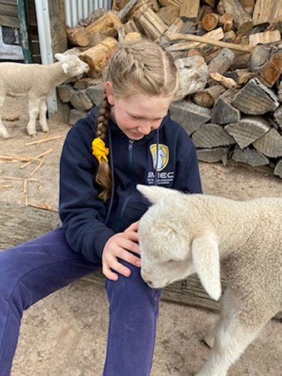 Lydia patting sheep