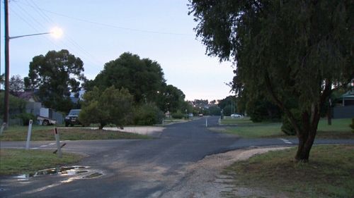 Emergency services were called to the dog attack at Greaves St, Inverell about 2.20pm. (9NEWS)