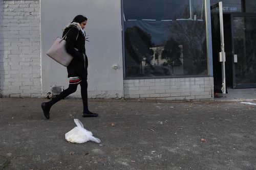 Supermarket plastic bags are one of the world's biggest environmental issues. Picture: AAP