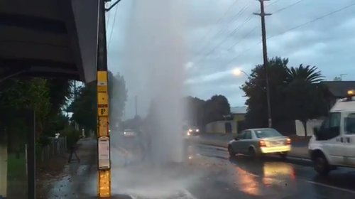 Commuter chaos as another water main bursts in Adelaide