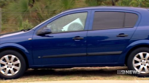 CCTV from a nearby house shows neighbours carrying Bully to water and shade. (9NEWS)