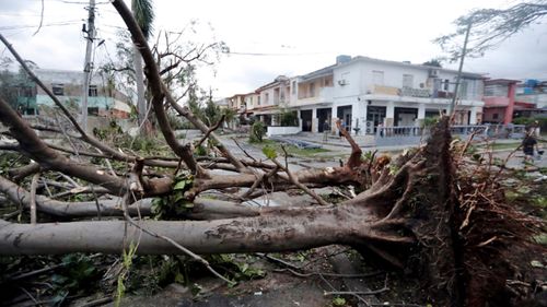 Trees were felled and cars thrown into buildings as winds reached speeds of up to 320km/h.