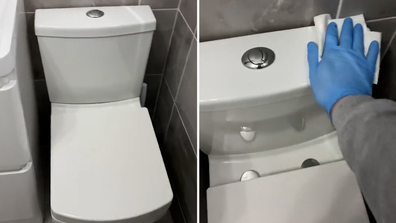 Toilet cleaning TikTok hack