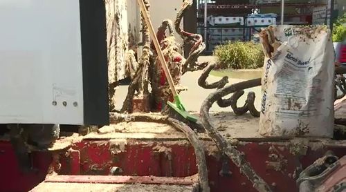 A Queensland truck driver sparked a very smelly situation in Toowoomba after spilling an entire load of manure.