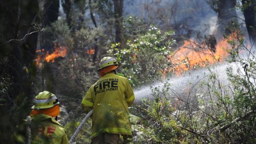 Women to make up half of all new NSW firefighter recruits