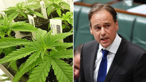 New laws to make access to medicinal cannabis easier for sick Australians