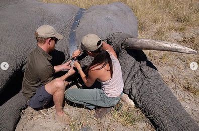 Prince Harry and Meghan Markle new photos from Africa