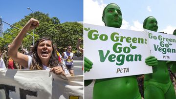 From Green thinking to green coloured, a diverse range of protesters have made their voices heard in the lead up to G20. Take a look at some of the serious and not-so-serious demonstrations which have taken place across Brisbane and around the country.